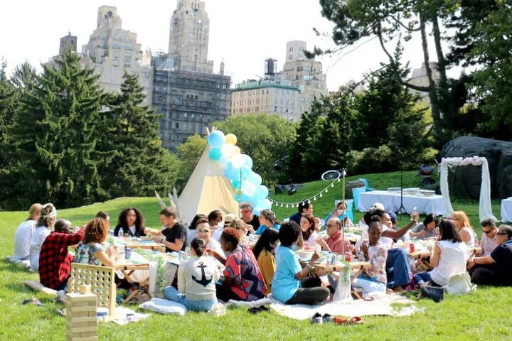 Elevate Your Picnic: Luxury in Central Park for Your Group