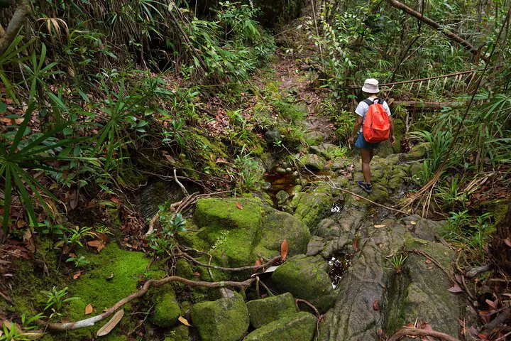 Khao Sok: Hike & Bamboo Rafting Day Trip