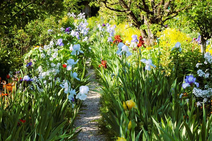 Giverny & Seine: Monet's Garden & Parisian Cruise Delight