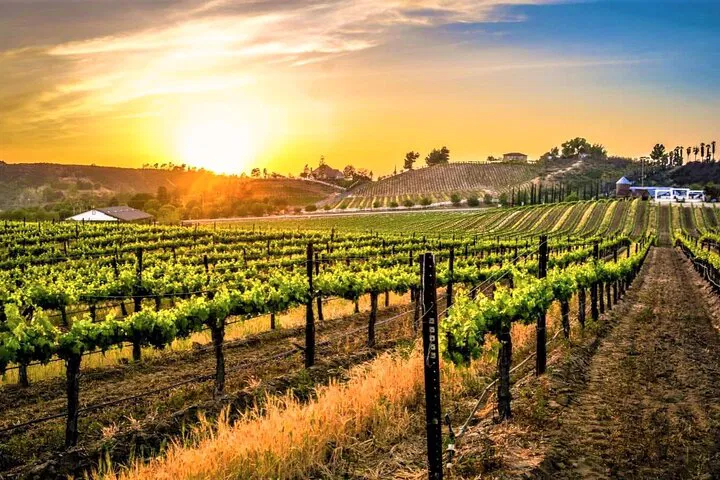 Temecula Valley Unveiled: A Luxurious Private Wine Excursion from Orange County