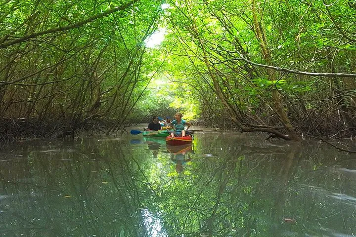 Unlock Belize's Hidden Gems: Khao Lak Mangrove Kayak Adventure