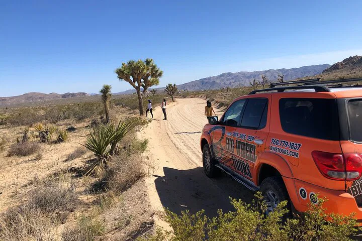 Thrill-Seeker's Joshua Tree Off-Road Adventure: A Rugged Desert Experience