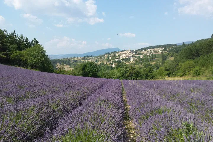 Provence's Lavender Magic: Aromatic Tour from Luberon to Sault