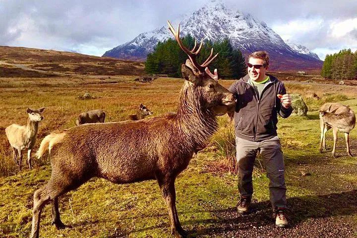 Unforgettable Scottish Highlands: A Relaxing Small-Group Tour