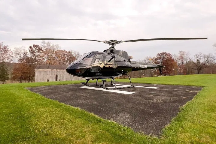 Elevated Romance: NYC Helicopter Proposal to Lakeside Farm