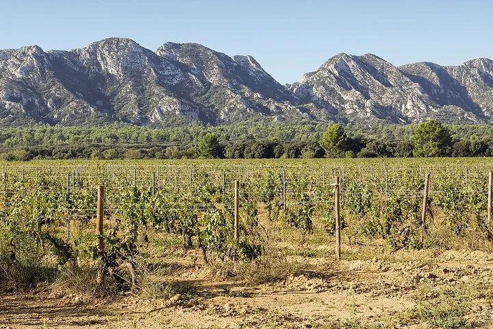 Provence Wine Day Tour: Unveiling Medieval Villages and Vineyards