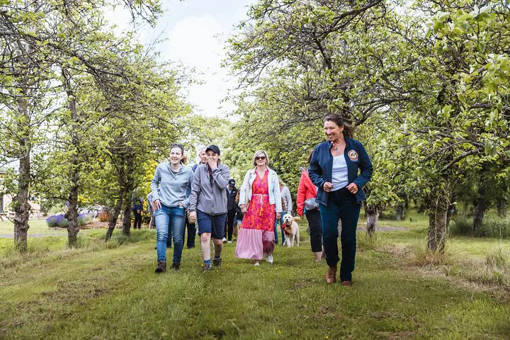 Dorset Brewery & Orchard Tour: Pints & Countryside