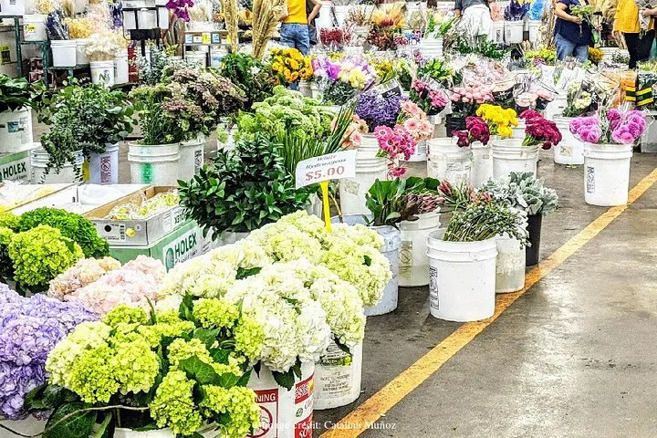 Unveiling LA's Creative Hub: A Private Fashion & Flower District Walking Tour