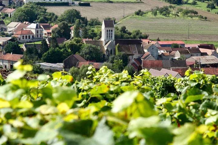 Champagne Dreams: A Luxurious Taittinger Day Trip from Paris