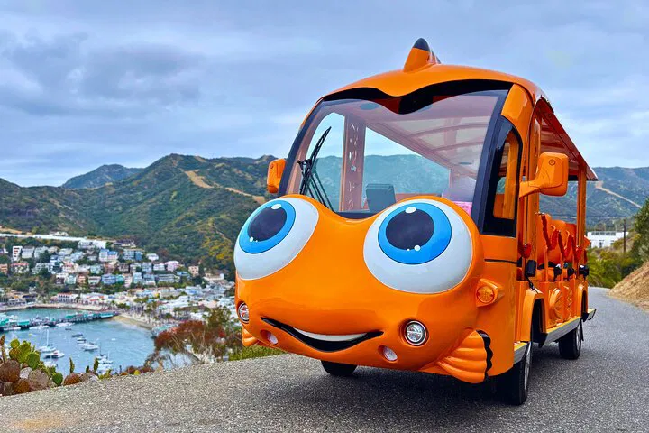 Avalon's Private City Tour: Garibaldi Golf Cart Adventure