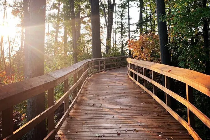 Rattray Marsh Nature Escape: Toronto's Lakeside Wildlife Haven