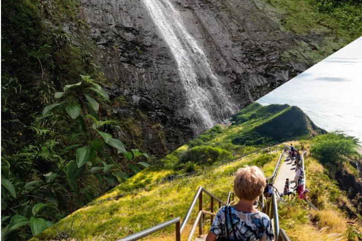 Discover Honolulu's Beauty: Diamond Head & Manoa Falls Adventure!