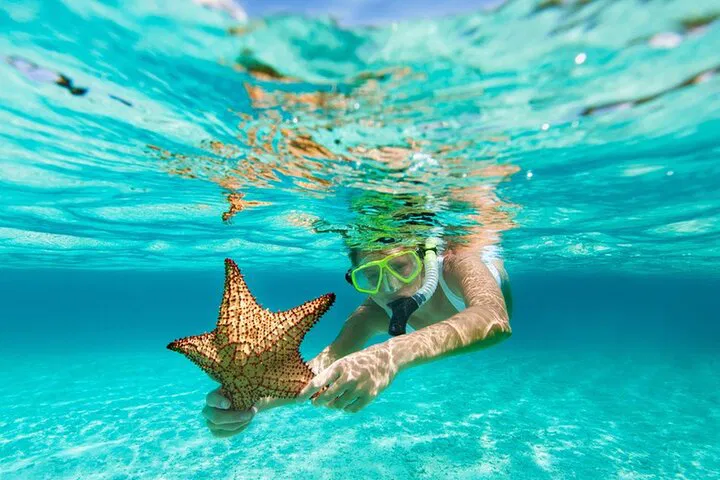 La Jolla Cove Snorkel Adventure: Gear Up & Explore!