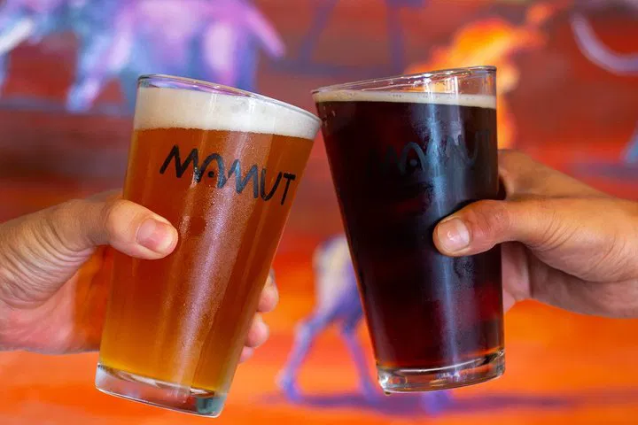 Tijuana Craft Beer Adventure: San Diego Brew Hop Across the Border