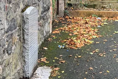 Image 3