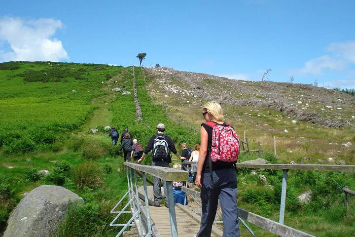 Explore Dublin & Wicklow: Guided Nature Walk Adventure!