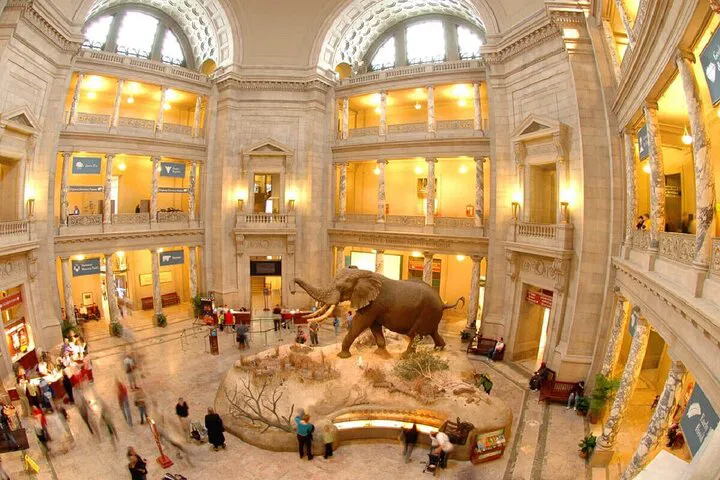 Smithsonian Museum Tour: Chinese Guided Adventure!