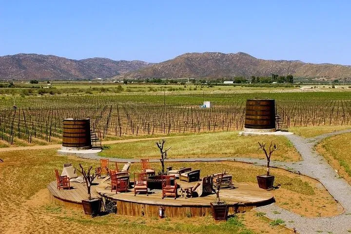 Uncorked & Unforgettable: Private Wine Tour in Valle de Guadalupe