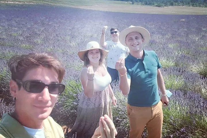 Unveiling Provence's Purple Heart: A Lavender Discovery Private Tour