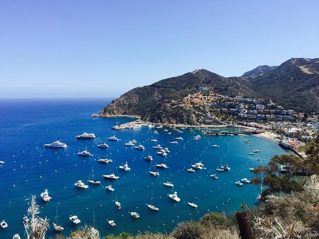 Discover Avalon: A Scenic Catalina Island Getaway with Hotel Transfers
