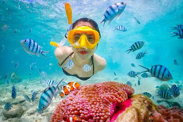 Phuket's Surin Islands Snorkeling Adventure: A Speedboat Day Trip to Paradise