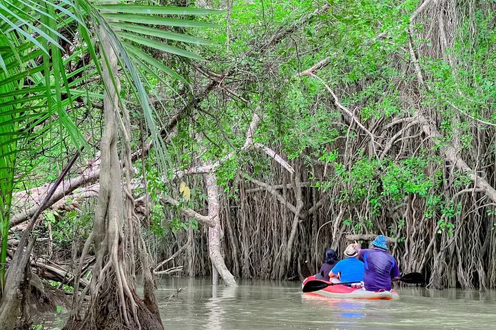 Unveiling Khao Lak's Hidden Gem: A Canoe Adventure in Little Amazon