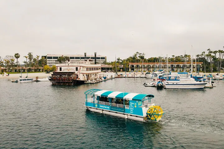 San Diego Paddle Pub Party Cruise: Drinks & Fun!