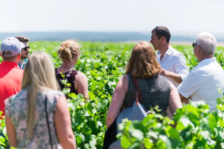 Chablis Wine Tour from Paris: Taste Burgundy
