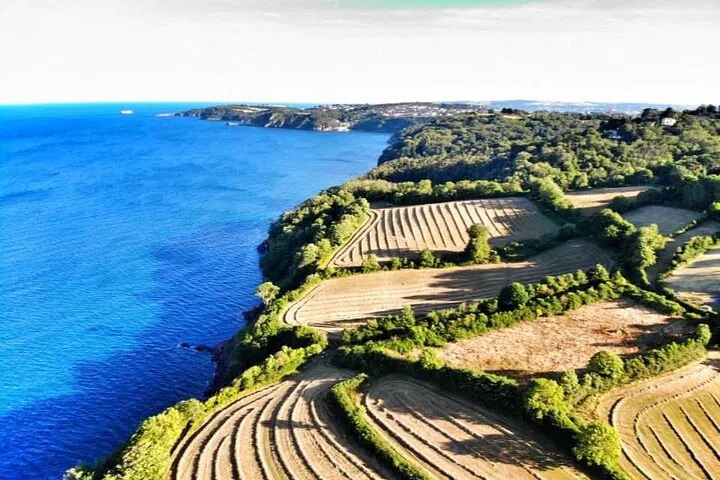 South Devon: Coastal Walks & Wildlife Encounters