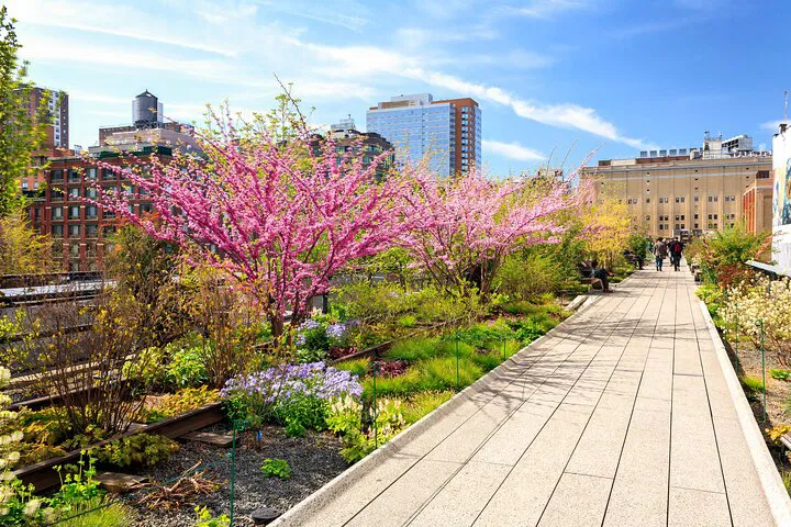 Uncover NYC's Modern Marvels: A Private High Line, Chelsea & Hudson Yards Tour