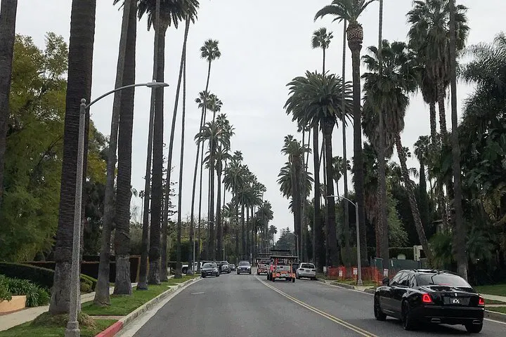 Hollywood's VIP Private Tour: Unveiling Glamour from Santa Monica