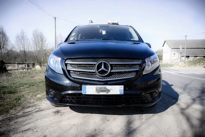 Stress-Free Disneyland Paris Arrival: Private CDG Airport Transfer