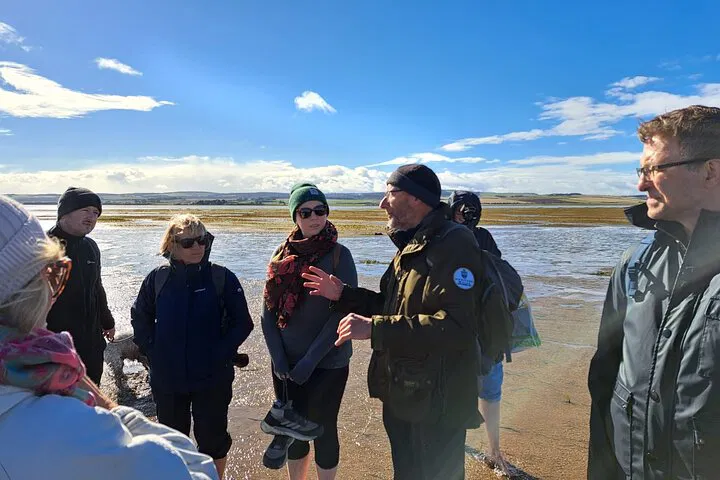 Holy Island Pilgrims' Path Walk: Sands & History
