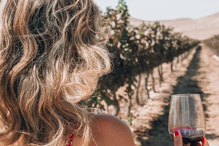 Unveil St-Tropez Vineyards: A Luxurious Private Wine Tour