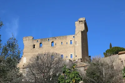 Image 2