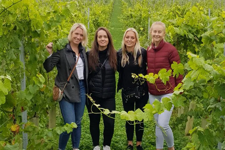 Discover Award-Winning Wines: Owner's Vineyard Tour & Tasting at Oastbrook