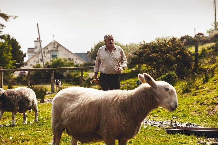 Unforgettable 5-Day Irish Adventure: Dublin to Southwest Small-Group Tour