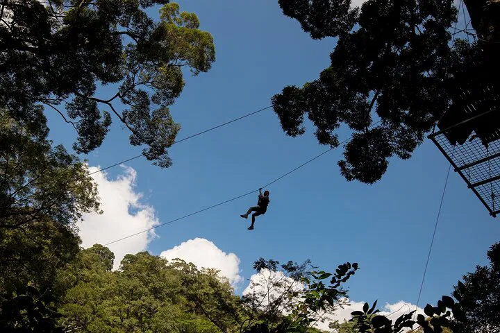 Soar Through Phuket's Jungle: Guided Zipline Adventure at Hanuman World!