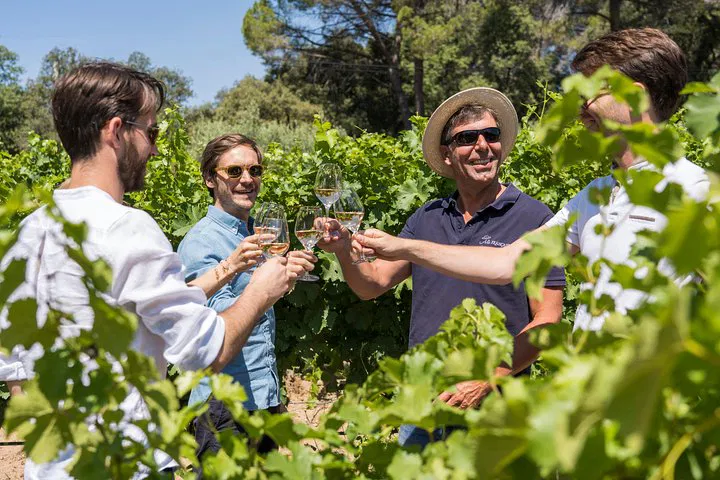 Aix-en-Provence: Côtes de Provence Wine Tour