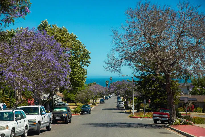 Luxury Ride: LA to Santa Barbara Private Transfer