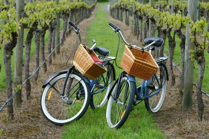 Explore North Fork: Guided Bike Tour Through Vineyards & Farms!