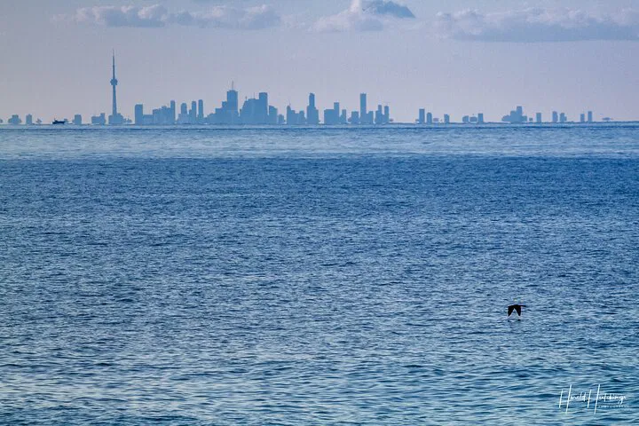 Stress-Free Niagara to Toronto Airport Transfer: Upscale Private Ride