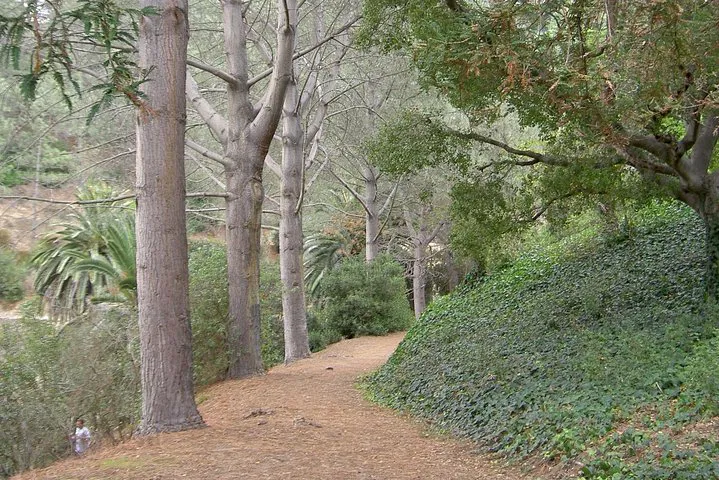 Discover San Diego's Hidden Gems: A Personalized Nature Walk