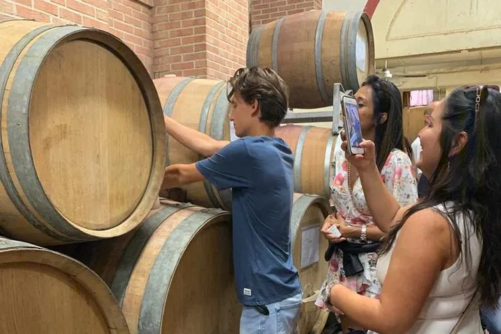 Uncork Piedmont: A Sommelier-Led Wine Journey through Langa & Monferrato