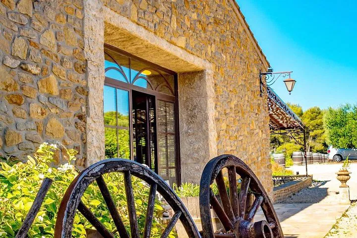 Unlocking Bandol: An Immersive Wine Tasting Journey in Toulon
