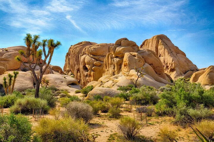 Joshua Tree Hidden Valley: Self-Guided Walking Tour