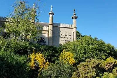 Image 3