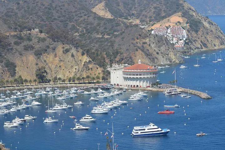 Catalina Island Escape: Discover Avalon's Charm from Anaheim Hotels