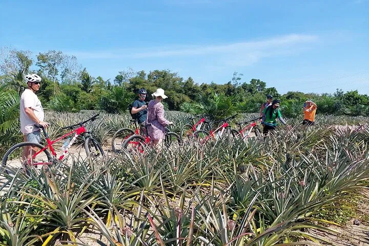 Phuket Countryside Cycling: Pedal Through Paradise