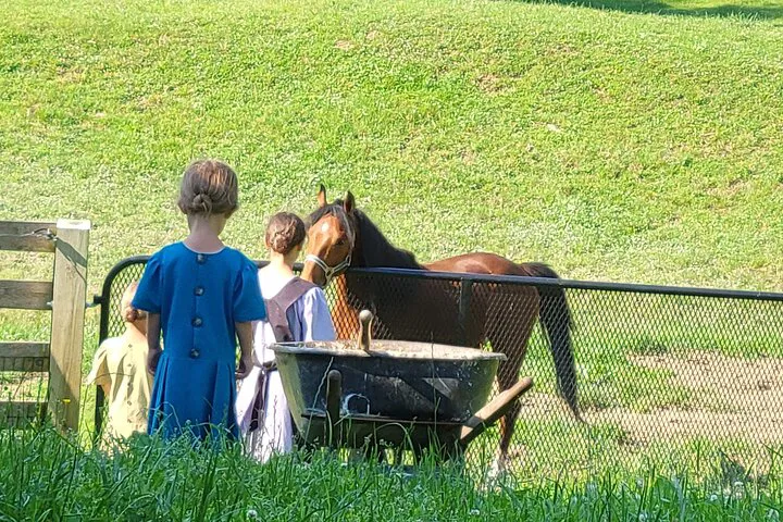 Lancaster's Authentic Experience: Amish Culture & City Tour
